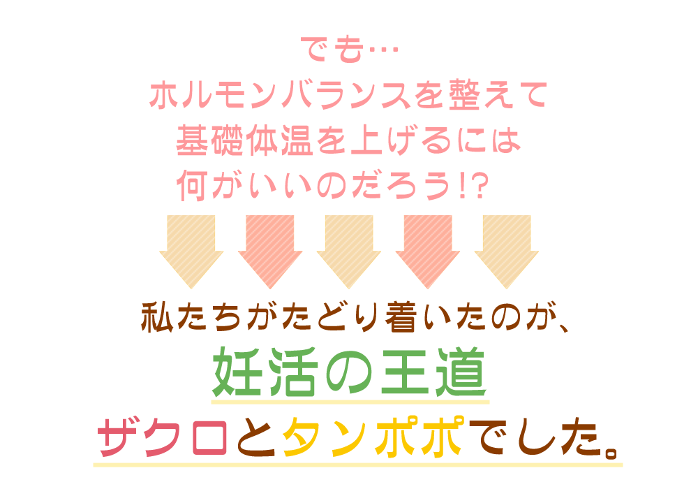 ザクロとタンポポ